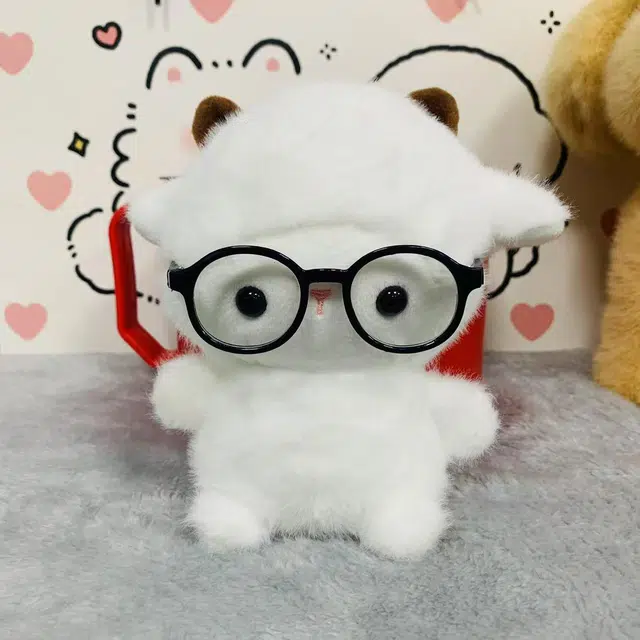 16cm