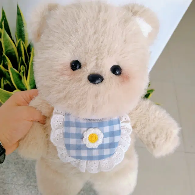 50cm