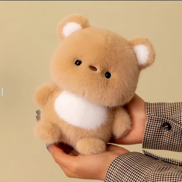 16cm