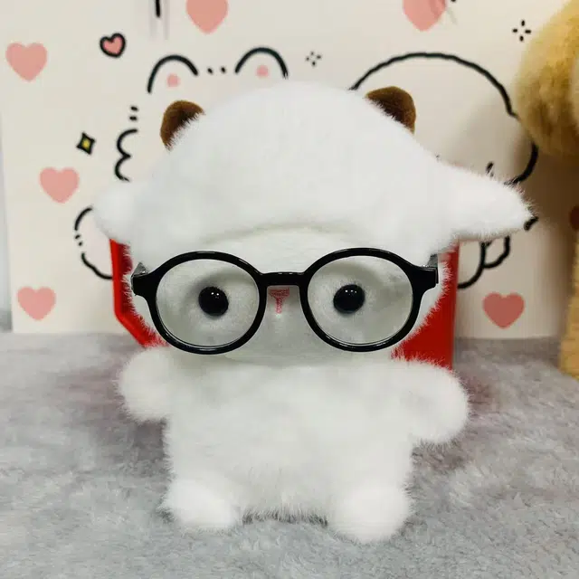 16cm