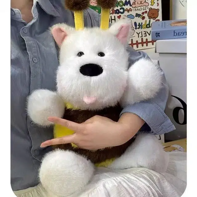45cm60cm
