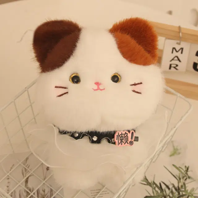 24cm