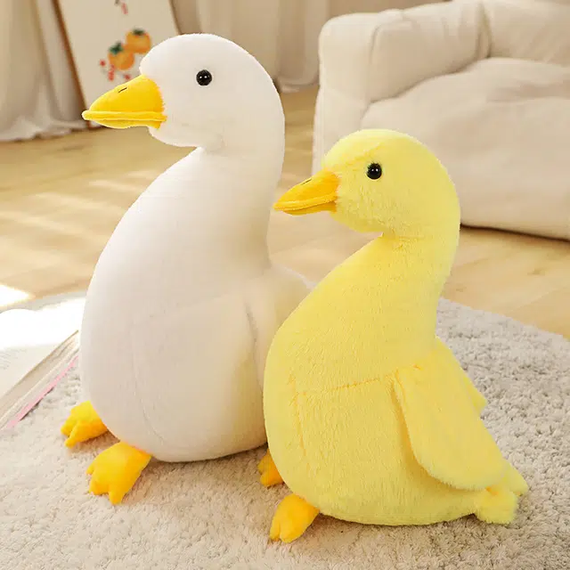30cm40cm