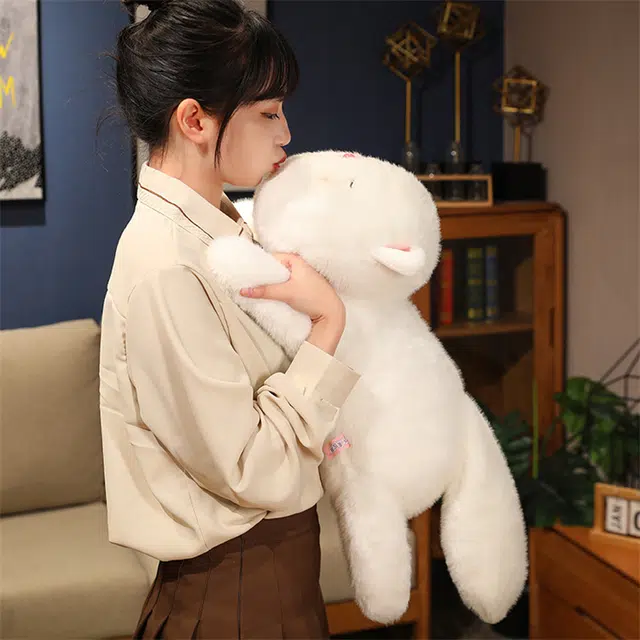 爱冰清 团团猫 小奶猫 猫咪抱枕 安抚哄睡 玩偶 毛绒公仔