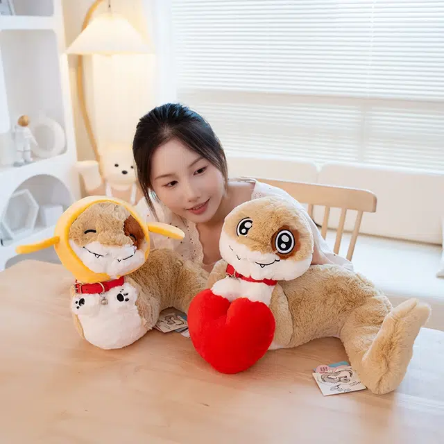 20cm28cm