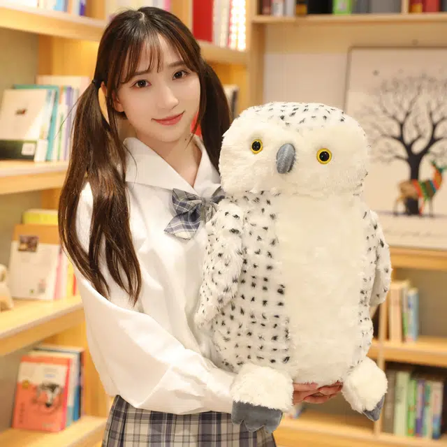 30cm50cm