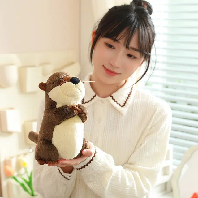 50cm