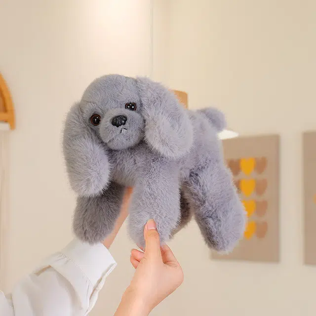 30cm