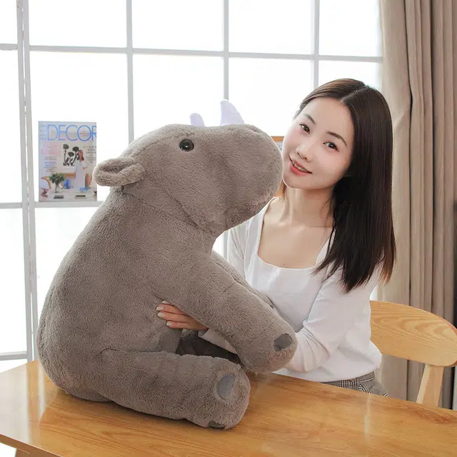 40cm60cm