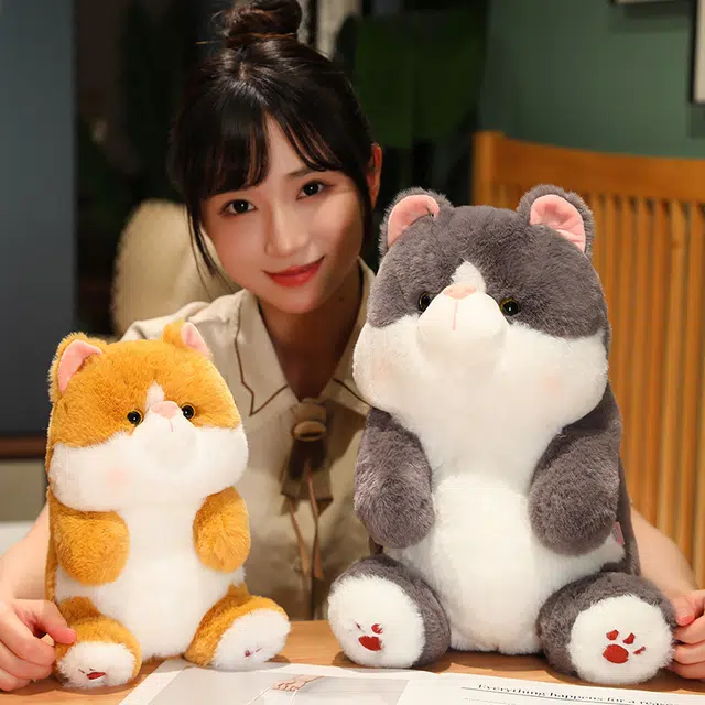 25cm35cm45cm