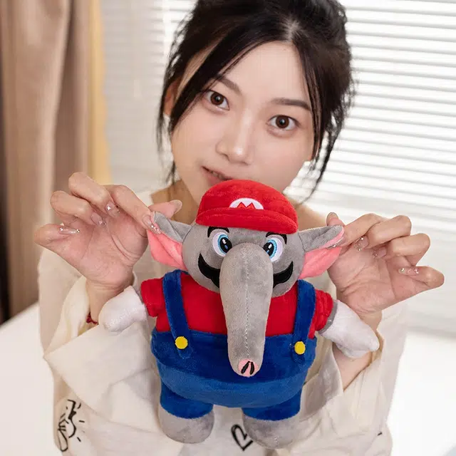 20cm27cm