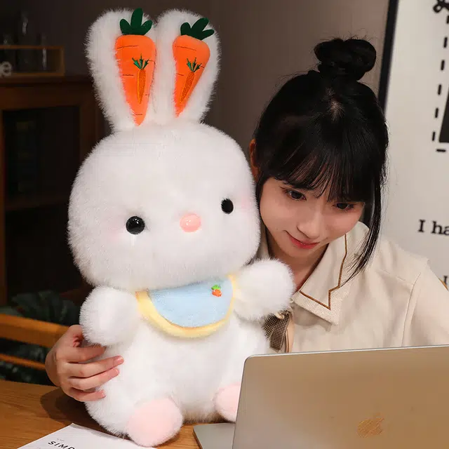 40cm55cm70cm