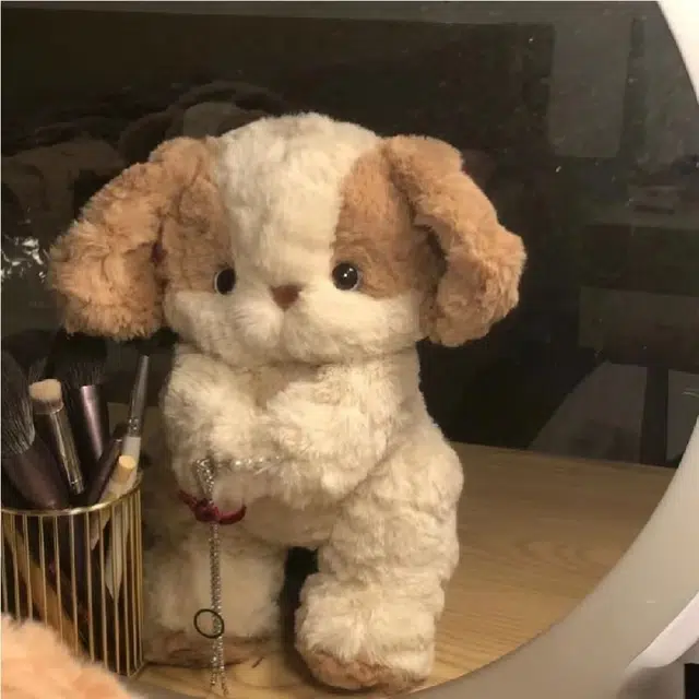 30cm