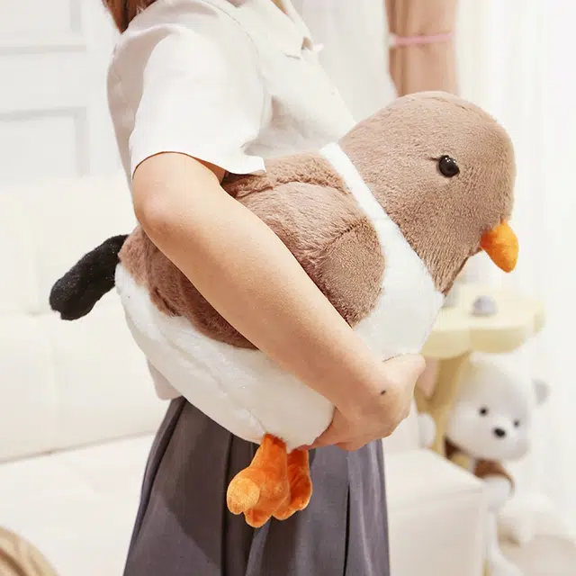 30cm40cm