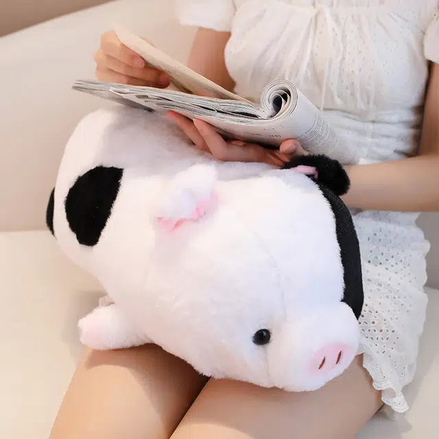 40cm50cm