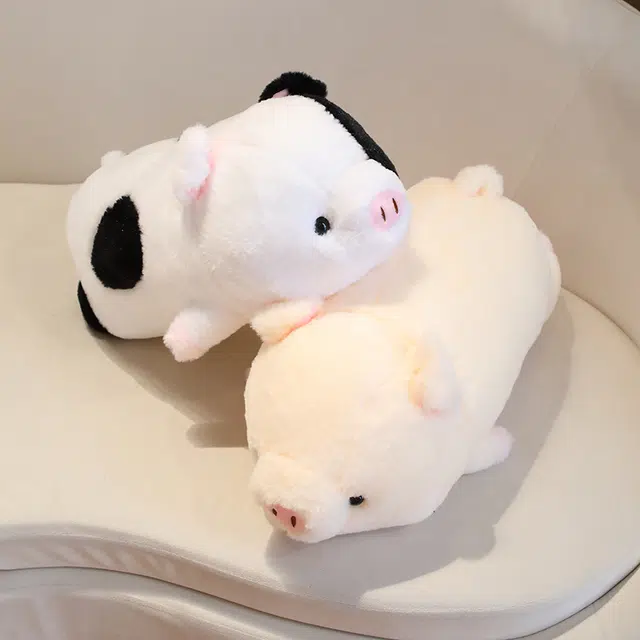 40cm50cm