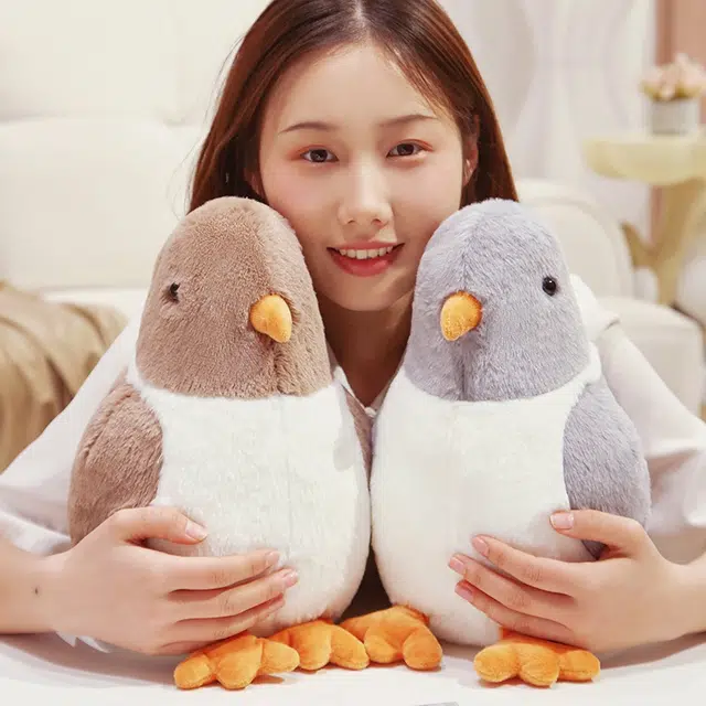 30cm40cm