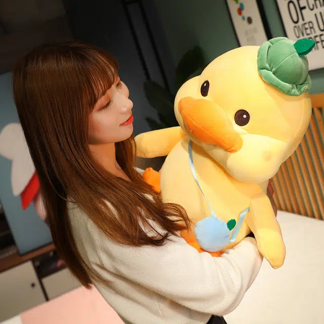 45cm55cm