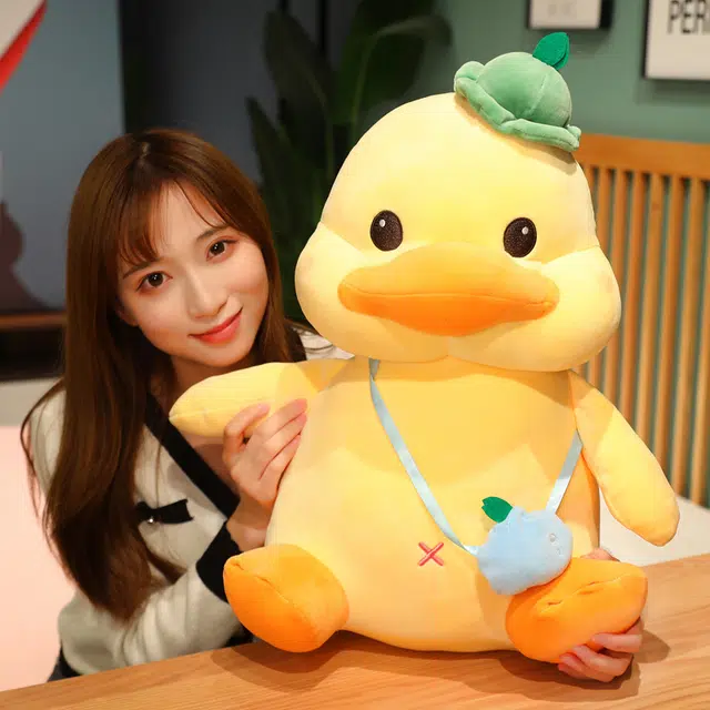 45cm55cm