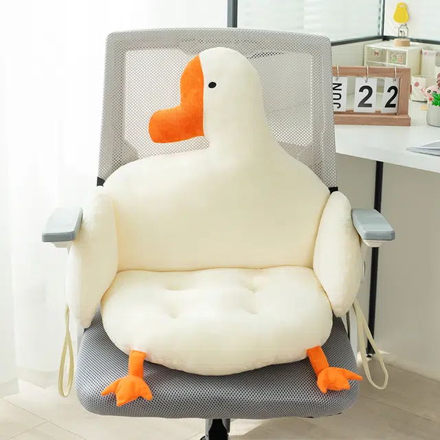 40cm50cm
