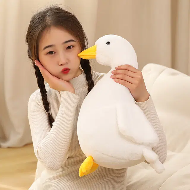 30cm40cm