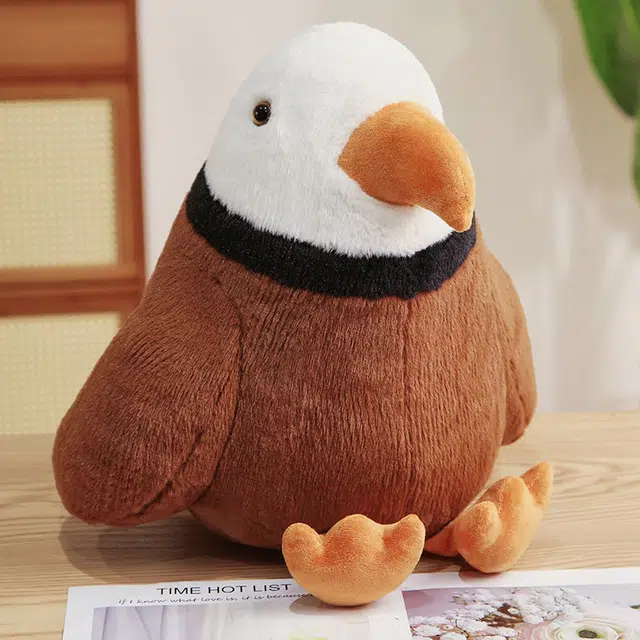 30cm40cm