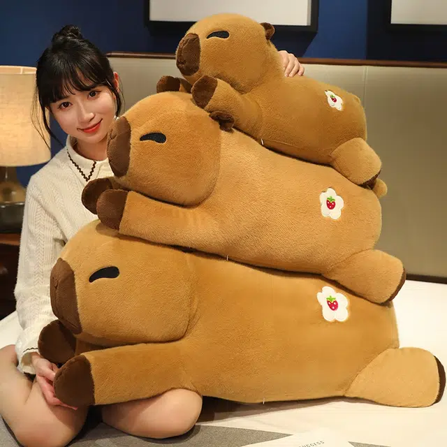 60cm80cm100cm