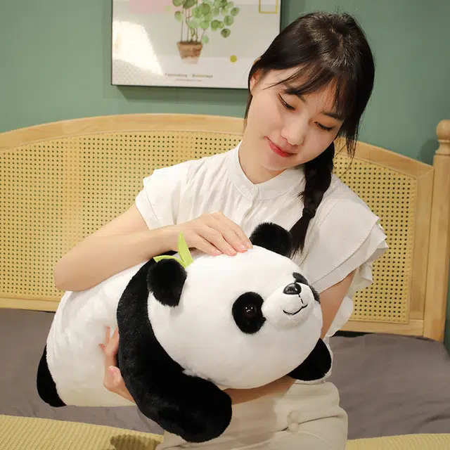 50cm70cm
