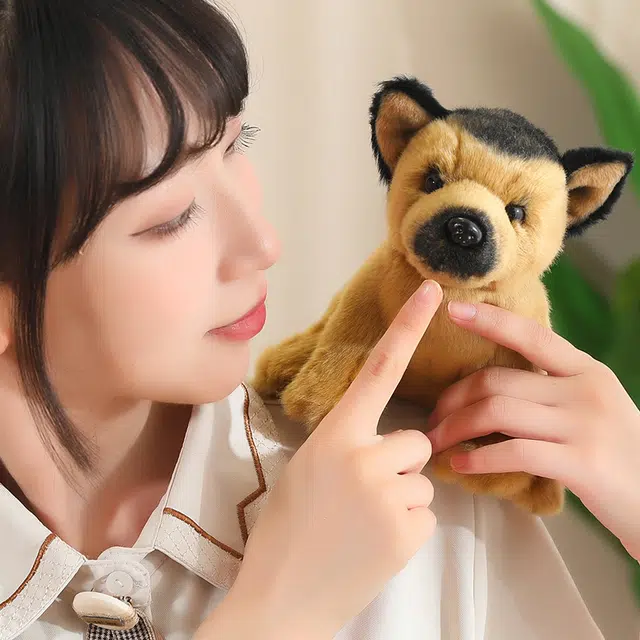 17cm30cm