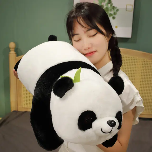 50cm70cm