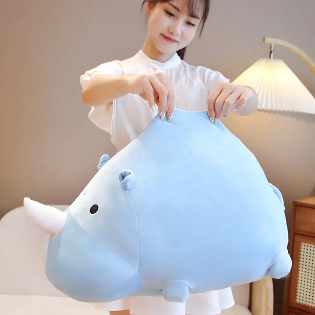 40cm50cm