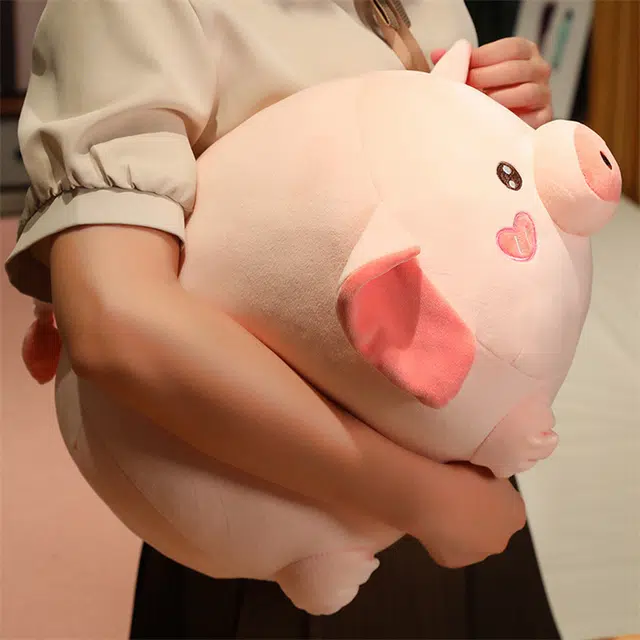 23cm35cm50cm65cm