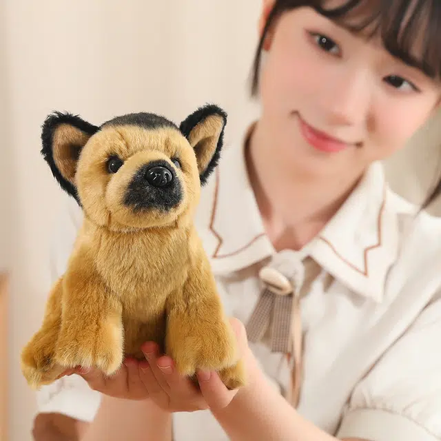 17cm30cm