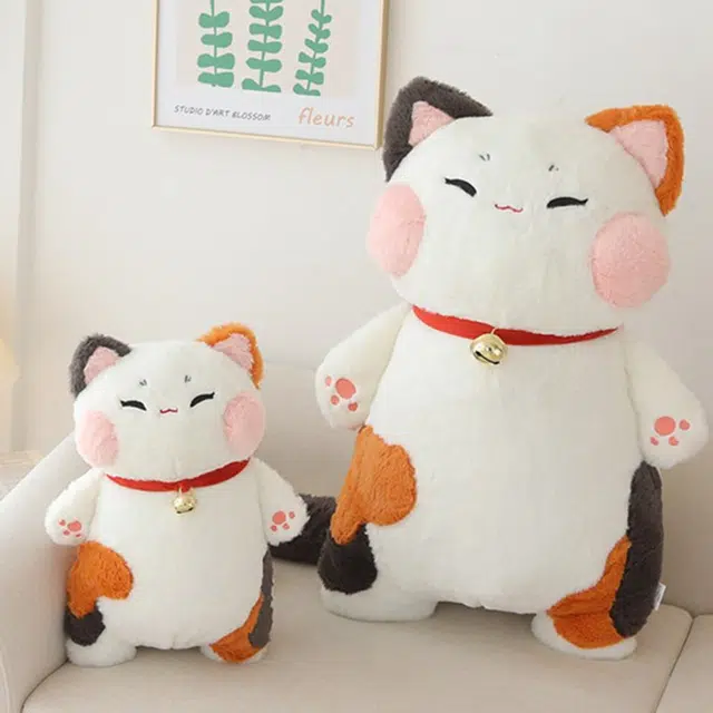 42cm75cm
