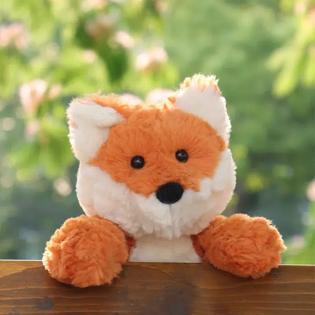 APRICOT LAMB 20cm30cm