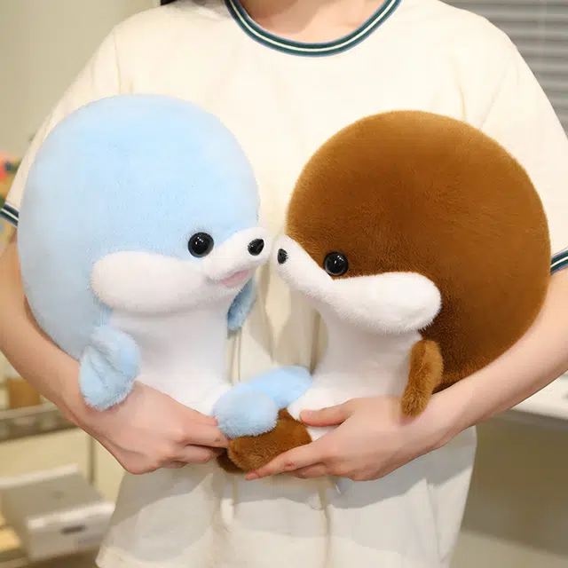 35cm50cm