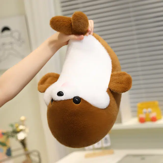 35cm50cm