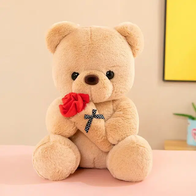 25cm