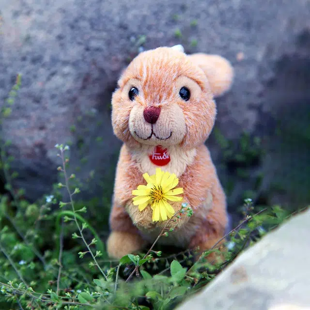 TRUDI 10.5cm