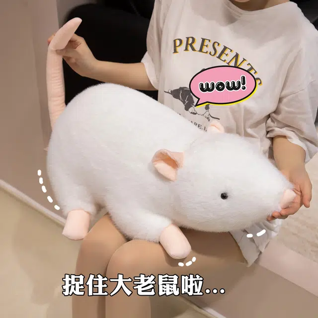 20cm30cm