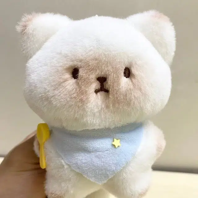 12cm