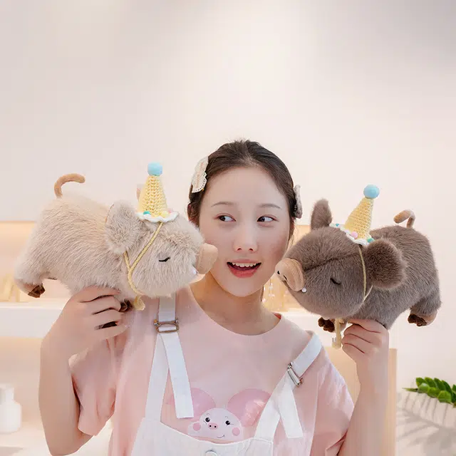 20cm30cm