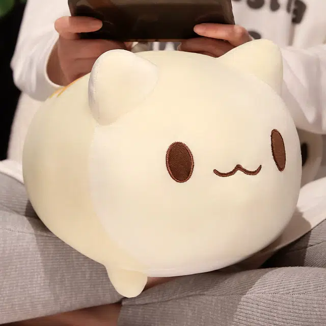 20cm25cm