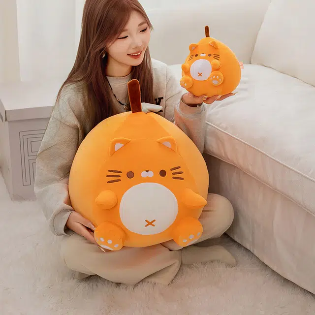 23cm50cm