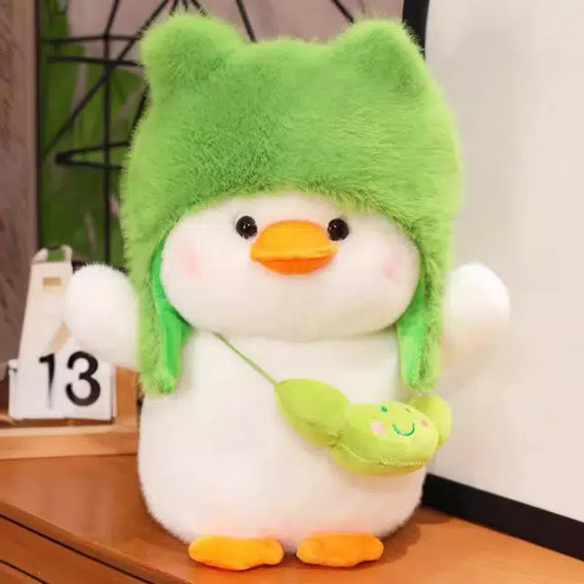 25cm35cm