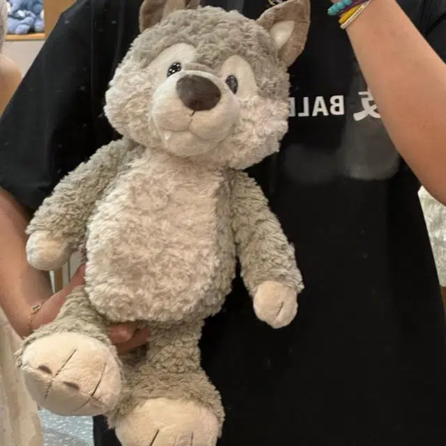 40cm55cm