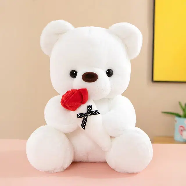 25cm