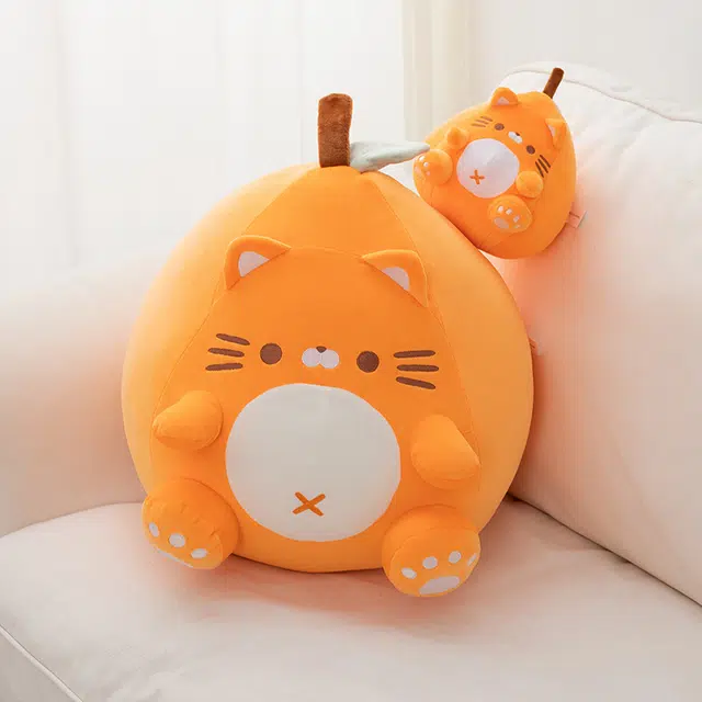 23cm50cm