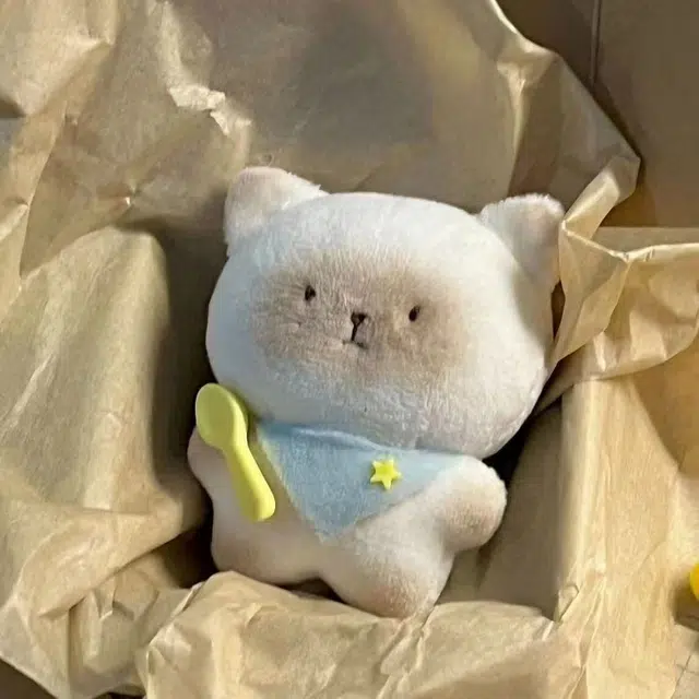 12cm
