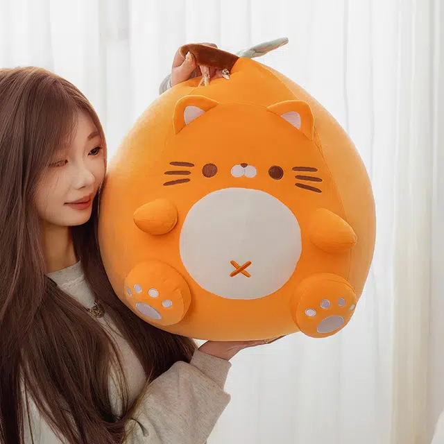 23cm50cm